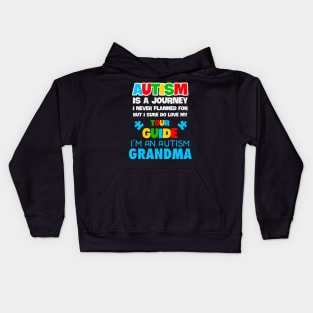 Autism Grandma Autism Awareness Gift for Birthday, Mother's Day, Thanksgiving, Christmas Kids Hoodie